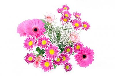 flowers-163716_1280