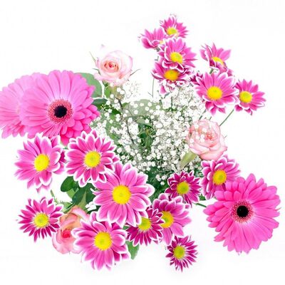flowers-163716_1280